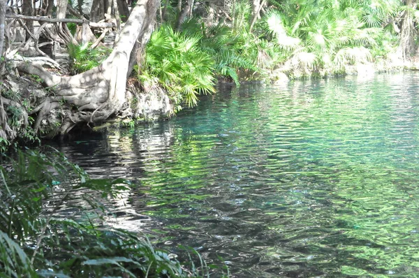 Cenote Mexiko Slutlig Tarde — Stockfoto