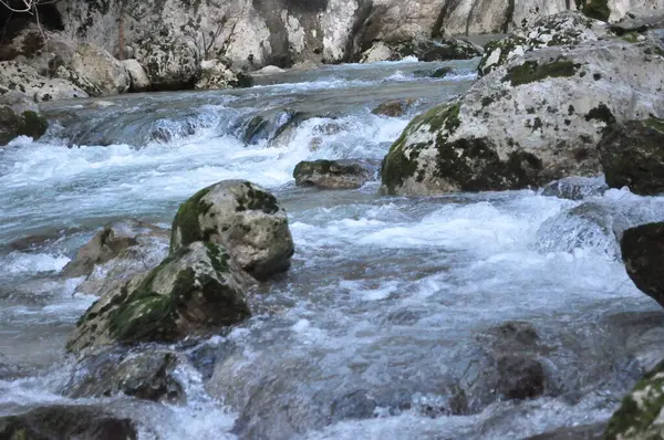 Rio Sinuoso Picos Europa Espanha — Stockfoto