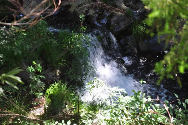 rio na zona de Mortgua 