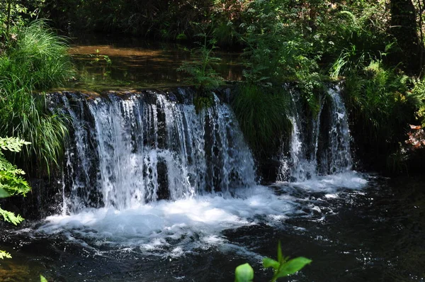 Cascatas Rio Junto Mortgua — Stockfoto