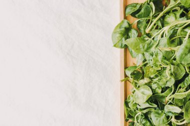 Tahta tabakta servis edilen yeşil ve taze Watercress yığını.