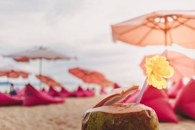 Yazın kumsaldaki kafede çiçeklerle süslenmiş hindistan cevizi..