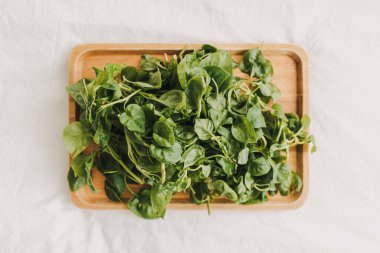 Tahta tabakta servis edilen yeşil ve taze Watercress yığını.