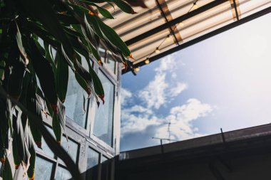 Sıcak yaz güneşi evin içine sıcak bir ışık tutuyor. Yaz mevsimi kavramı.