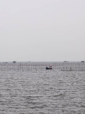 Soluk gökyüzünün altında, sessiz denizde, balık ağları arasında sürüklenen tek bir tekne. Asgari dikey deniz manzarası yalnızlığı vurguluyor.