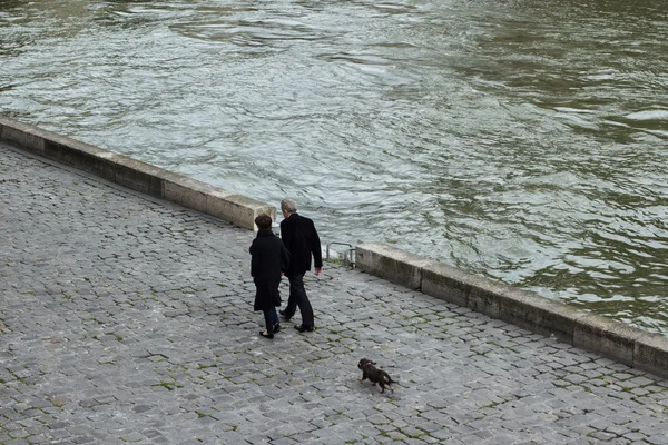 Couple walk their dog along a river — Stock Photo, Image