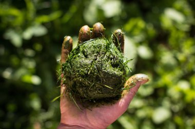 El topu taze kesilmiş çimen tutuyor