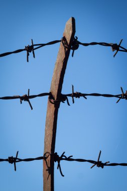 Barbwire çit detay