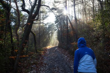 Yürüyüşe çıkmış orman içinden kadın