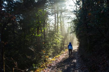 Yürüyüşe çıkmış orman içinden kadın