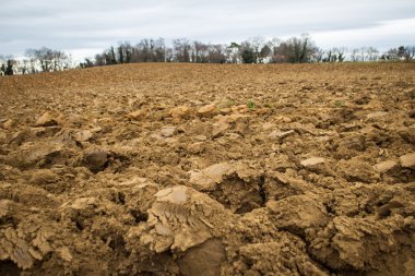 Sürülmüş tarım alanı