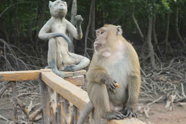 Mono y su monumento — Foto de Stock