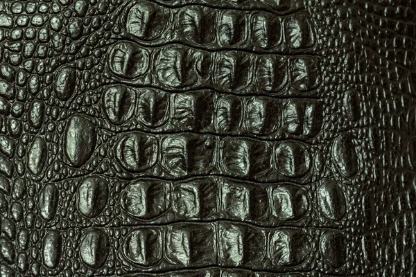 Timsah derisi dokusunu 