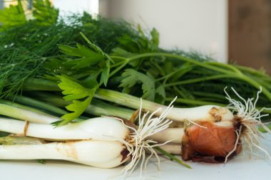 beyaz zemin üzerine taze otlar