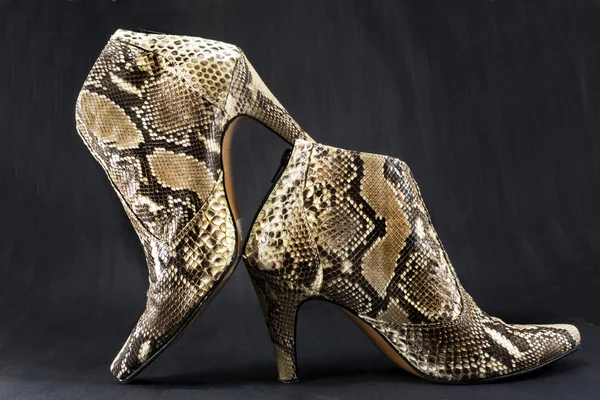 Schoenen gemaakt van slangevel — Stockfoto