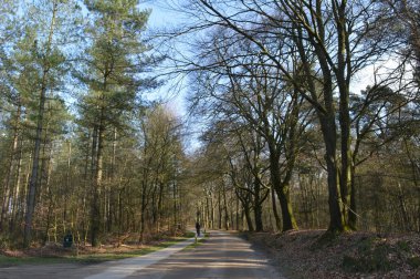 beeches ve bisiklet yolu Caddesi