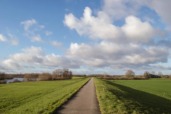 Polder Avec Route Cyclable Sur Digue Près Rivière Ijssel Près — Photo