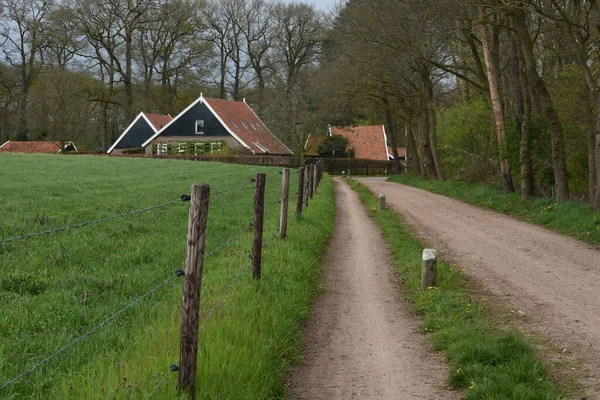 Tipikus Parasztház Falu Winterswijk Achterhoek Tavasszal — Stock Fotó