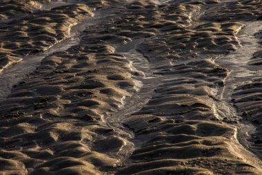 Gün batımında Cadzand 'ın kumlu plajında rüzgar, deniz ve güneş tarafından yapılan desenler.