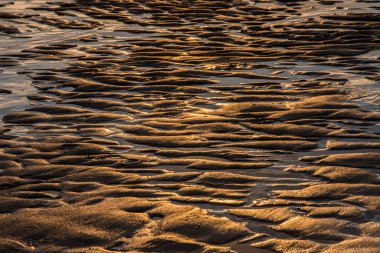 Gün batımında Cadzand 'ın kumlu plajında rüzgar, deniz ve güneş tarafından yapılan desenler.