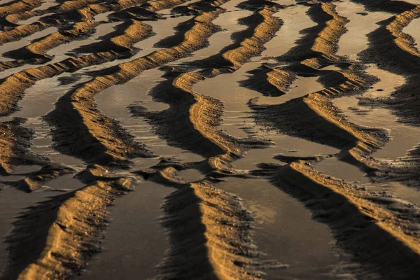 Padrões Feitos Pelo Vento Mar Sol Praia Areia Cadzand Pôr — Fotografia de Stock