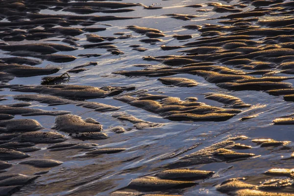 Motifs Réalisés Par Vent Mer Soleil Sur Plage Sable Cadzand — Photo