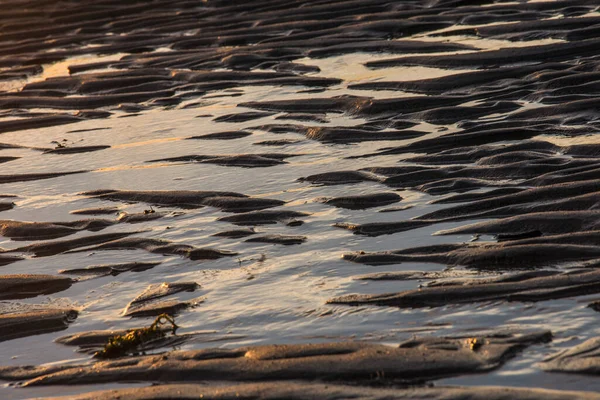 Muster Aus Wind Meer Und Sonne Sandstrand Von Cadzand Bei — Stockfoto