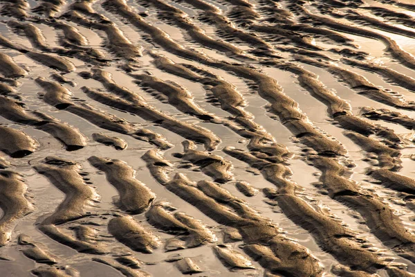 Rüzgar Deniz Güneş Tid Desenleri Gün Batımında Cadzand Kumlu Sahillerinde — Stok fotoğraf