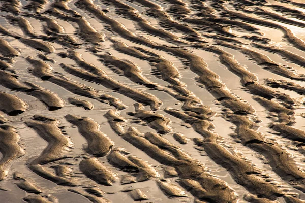 Mönster Vind Hav Sol Och Tyd Sandstranden Cadzand Vid Solnedgången — Stockfoto