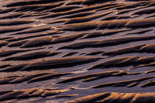 Padrões Vento Mar Sol Tyde Praia Arenosa Cadzand Por Sol — Fotografia de Stock