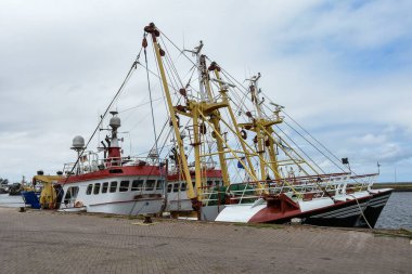 Lauwersoog Limanı 'ndaki Hollanda balıkçı teknesi