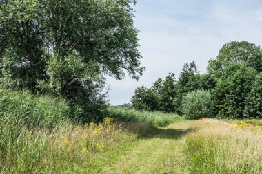 2020 ilkbaharında hava kirliliği olmayan mavi ve berrak bir gökyüzü.