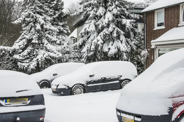 snowy cars near a house in Doetinchem in front of firn trees with snowy branches on a misty winter\'s day