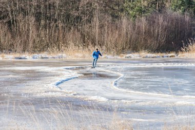 Donmuş bir gölette buz pateni pistinde kayan kaykaycı. Kış mevsiminde Kruisbergse Bossen 'in doğa bölgesindeki kamış ve ateş ağaçlarıyla kaplı.
