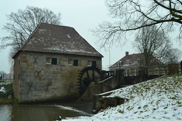 Watermolen in de fesceuw — стоковое фото