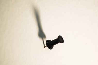 Pin on white background