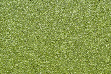 Park tünel insanlarla