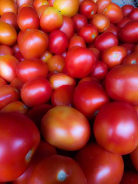 Kırmızı domates arka planı. Domates grubu, yakınlaştırılmış bir görüntü.