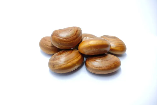 Peeled Jackfruit Seeds White Back Ground Seeds Brown Colour — Stock Photo, Image