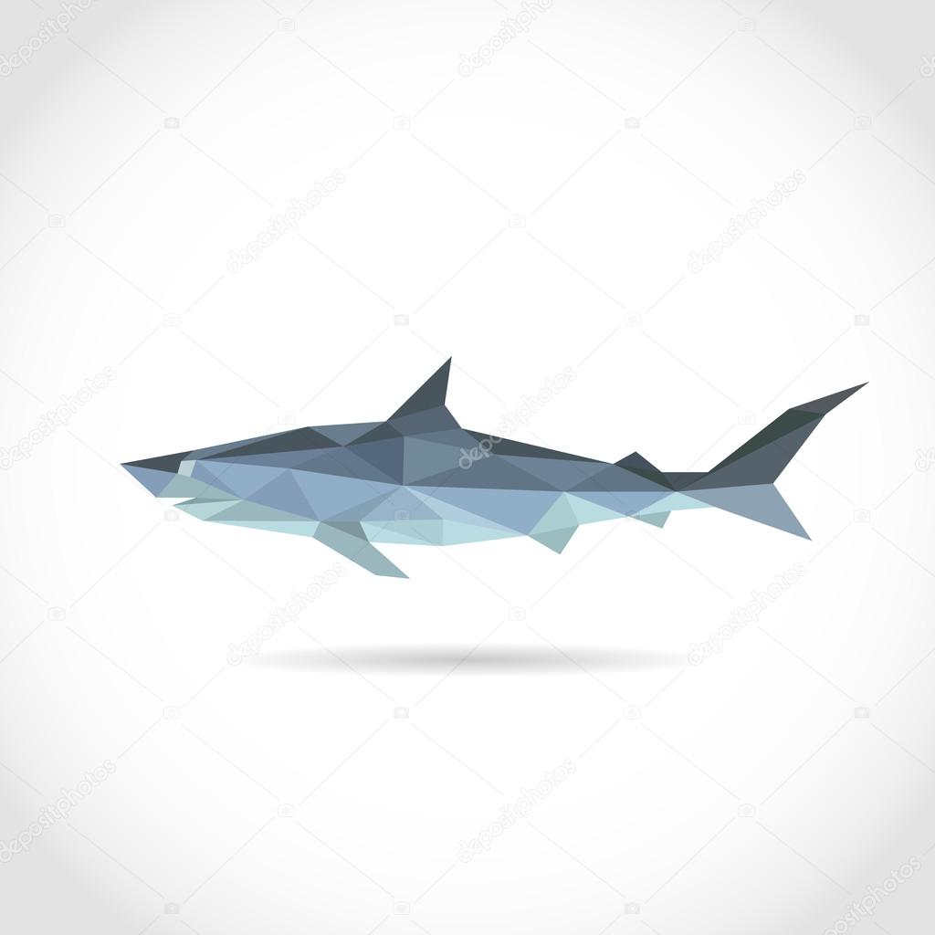 Polygon shark. low poly design in triangles