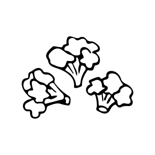 Handgetekende Enkele Broccoli Doodle Stijl Geïsoleerd Een Witte Achtergrond — Stockvector