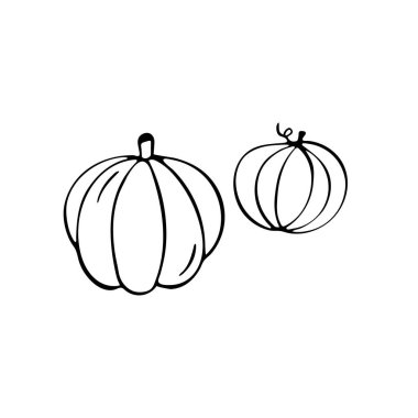 Karalama tarzında el yapımı balkabağı. Beyaz bir arka planda izole edilmiş. Logo fikri, mutfak tasarımı, yemek menüsü. Siyah ve beyaz vektör resmi