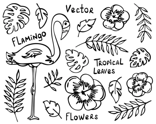 Hand Drawn Tropical Summer Doodles Flamingos Exotic Flowers Branches Leaves — Stock Vector