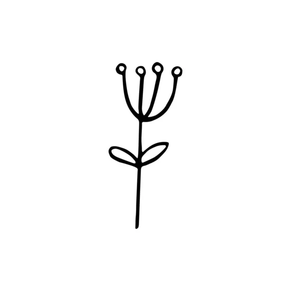 Enhandsritad Blomma Doodle Isolerad Vit Bakgrund Vektorillustration — Stock vektor