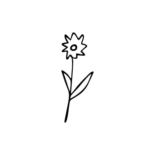 一本の手描き花 白い背景に隔離された落書き ベクターイラスト — ストックベクタ