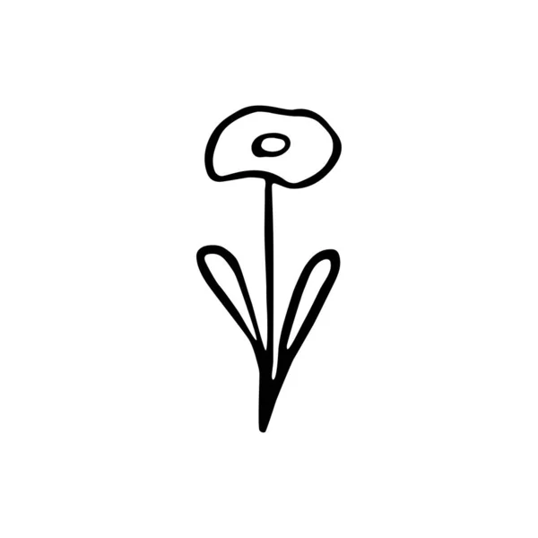 Enhandsritad Blomma Doodle Isolerad Vit Bakgrund Vektorillustration — Stock vektor