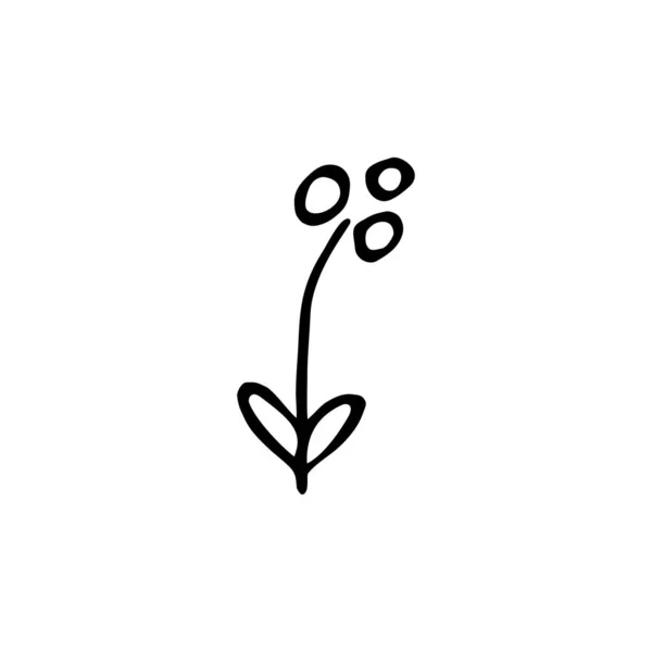 Een Met Hand Getrokken Bloem Doodle Geïsoleerd Witte Achtergrond Vectorillustratie — Stockvector