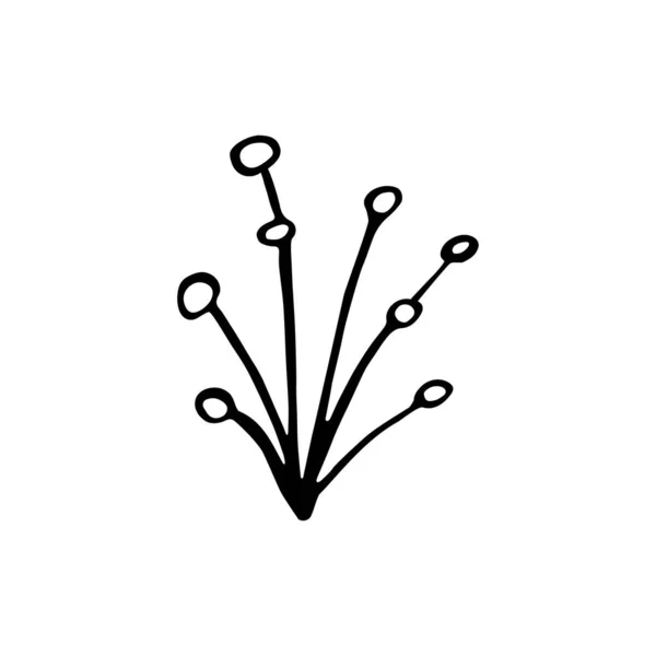 Ein Handgezeichneter Zweig Doodle Isoliert Auf Weißem Hintergrund Vektorillustration — Stockvektor