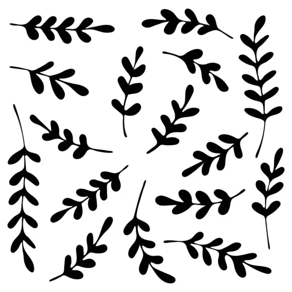 Ensemble Branches Dessinées Main Eléments Botaniques Isolés Sur Fond Blanc — Image vectorielle