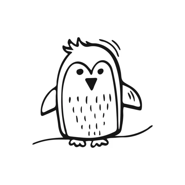 Desenhei Mão Pinguim Lindo Pinguim Doodle Isolado Sobre Fundo Branco — Fotografia de Stock